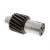 PAI 79610 - Bull Pinion Gear