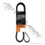 815.4120825 CONTI ELITE SERPENTINE BELT