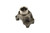 Spicer 2-4-2821-1X - 1310 Series Half Round Differential Yoke