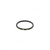 PAI 121256 - Viton Pickup Tube O-Ring