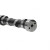 PAI 490016 - Camshaft Assembly