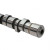 PAI 691920 - 12L/14L Camshaft