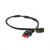 PAI 350588 - Cat Wire Harness