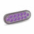 Trux TLED-OXAP - 6" Amber Turn & Marker to Purple Auxiliary LED Oval Light - 12 Diodes