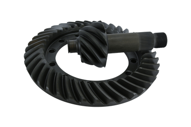 TARIN s-6907__78619.1715652996.386.