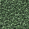 11/0 Linea Beads 033 Forest Green - 30 gram bag
