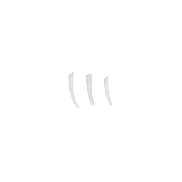 Dentalium Smooth White 0.5-0.75Inch 100 Pieces Per Bag