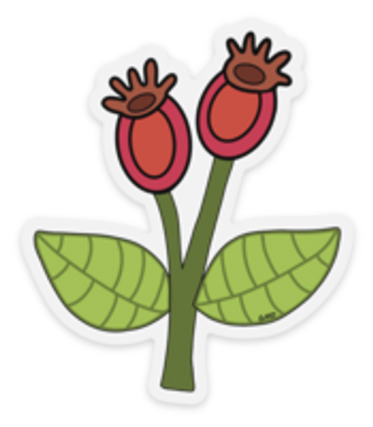 CW Floral 4 Sticker