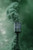 Green smoke grenade with a tall, dense green smoke column rising straight up against a blurred backdrop