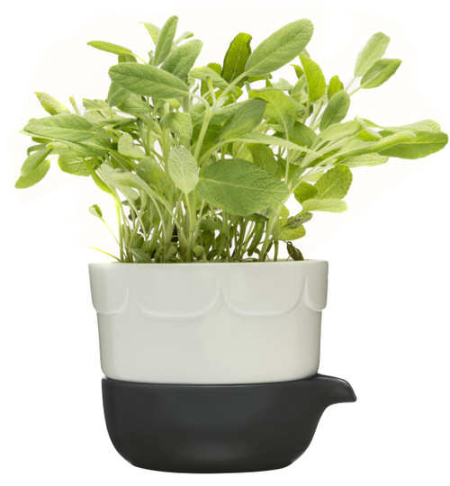 Green double-barelled growing pot