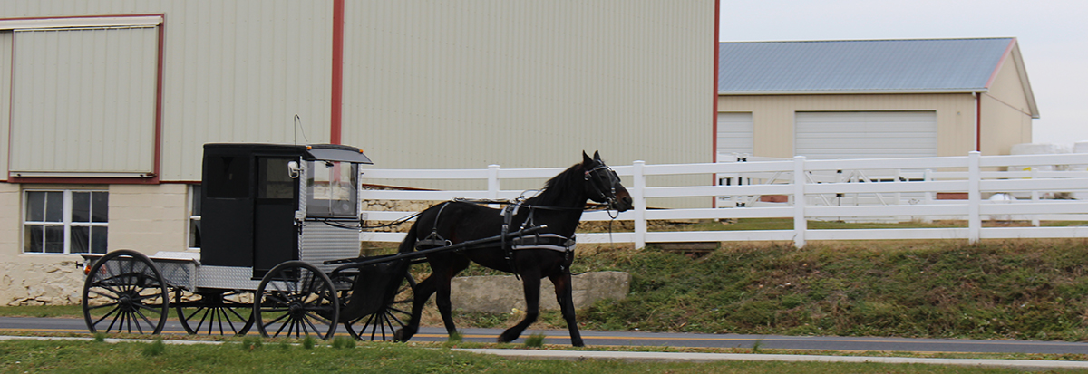 Breezesta Factory Horse Buggy Pennsylvania