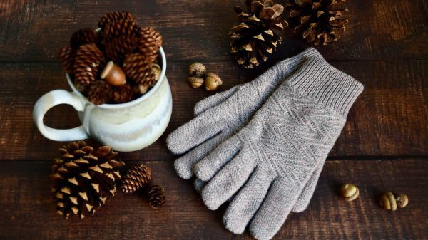 Gloves