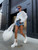 Coastal Breeze Frayed Hem High-Rise Denim Shorts