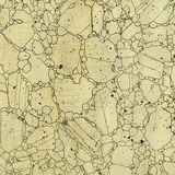 Metallography & Microscopy