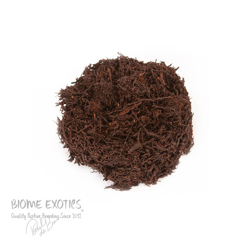 Premium New Zealand Tree Fern Fiber