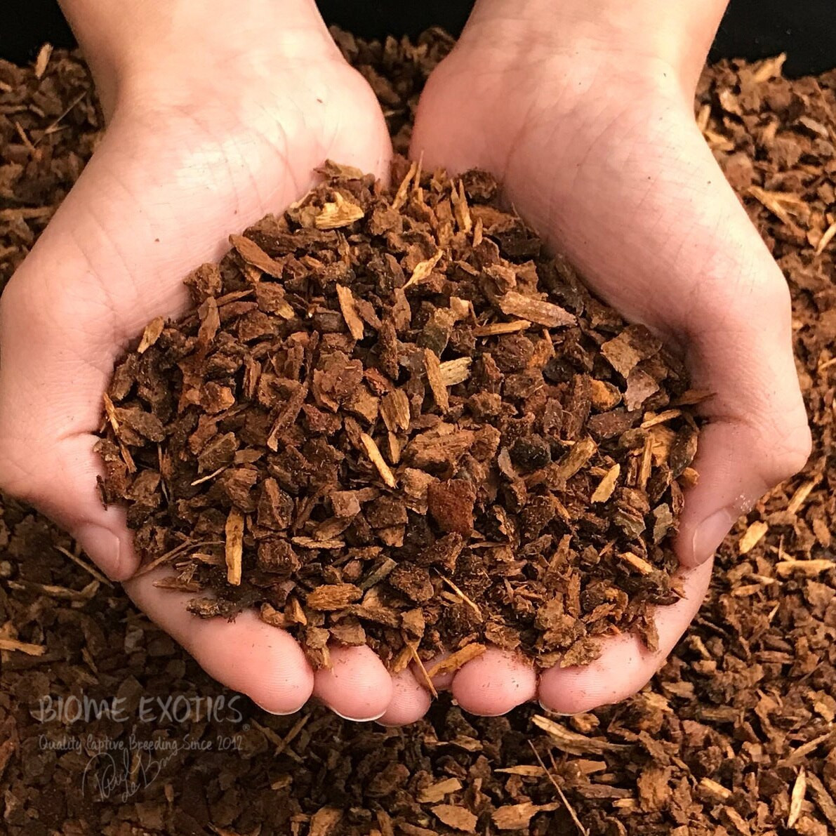 Small Grade New Zealand Orchid Bark - Thumbnail 4