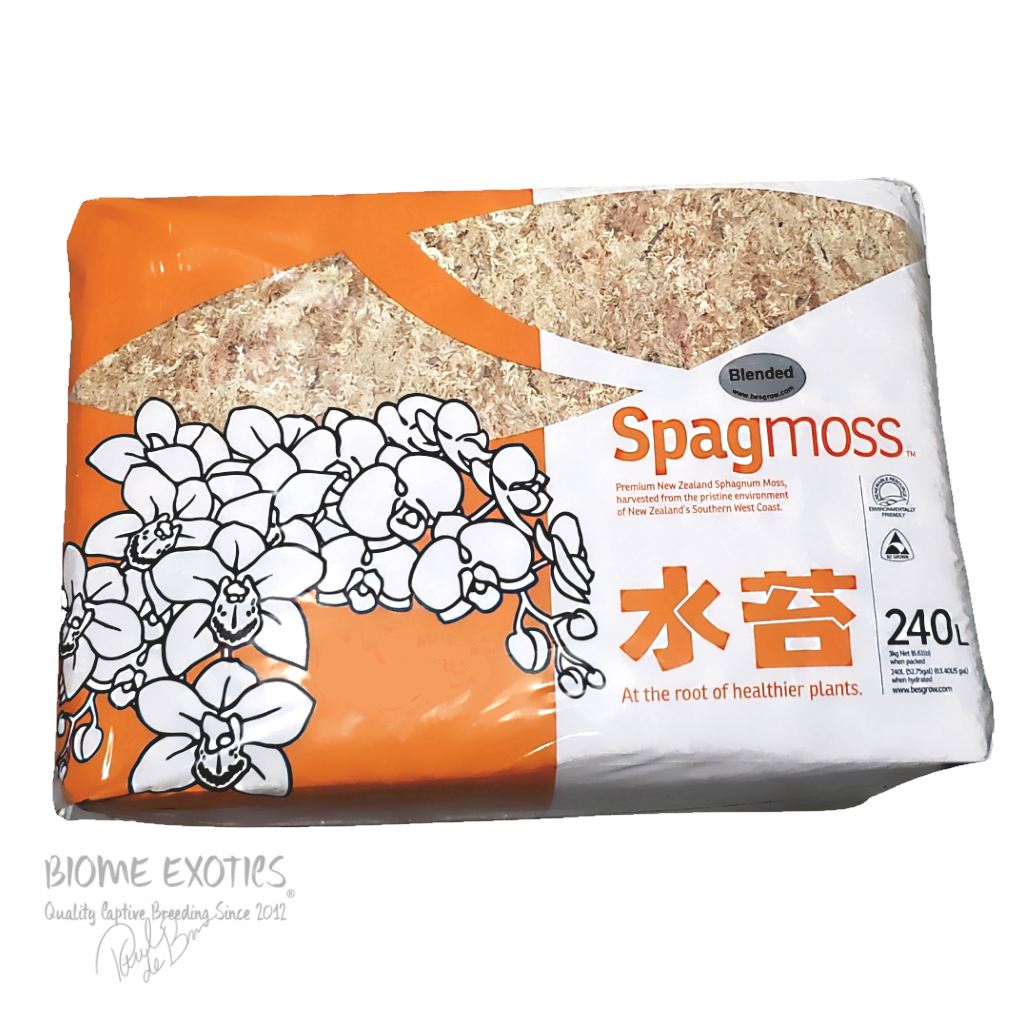 Besgrow 3K Blend AA Grade New Zealand Sphagnum Cristatum Moss - Thumbnail 2