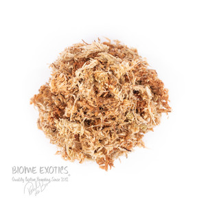 AA New Zealand Sphagnum cristatum moss - Classic AA Grade 100mm strands. AA New Zealand Sphagnum cristatum moss - Classic AA Grade 100mm strands.