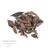 Dried black Guava leaves (Psidium Guajava). Dried black Guava leaves (Psidium Guajava).