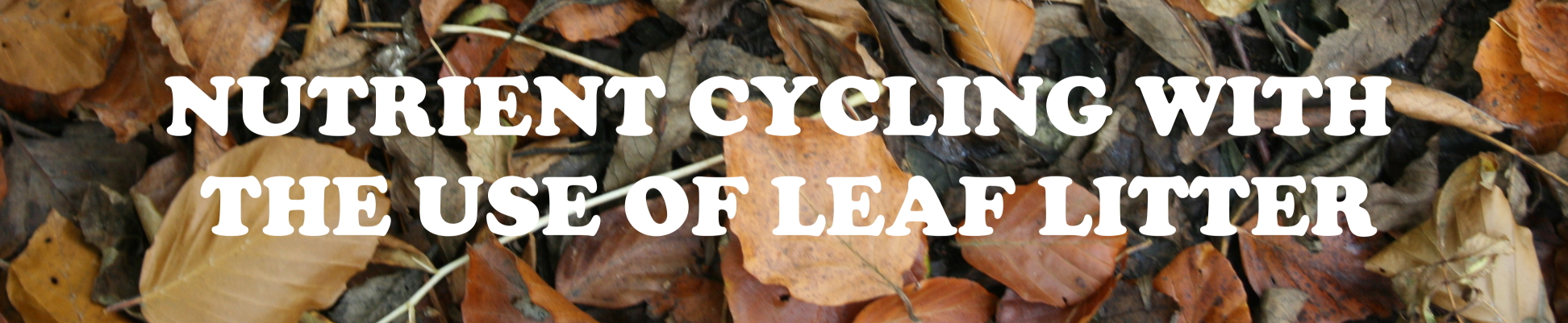 Why is leaf litter important?