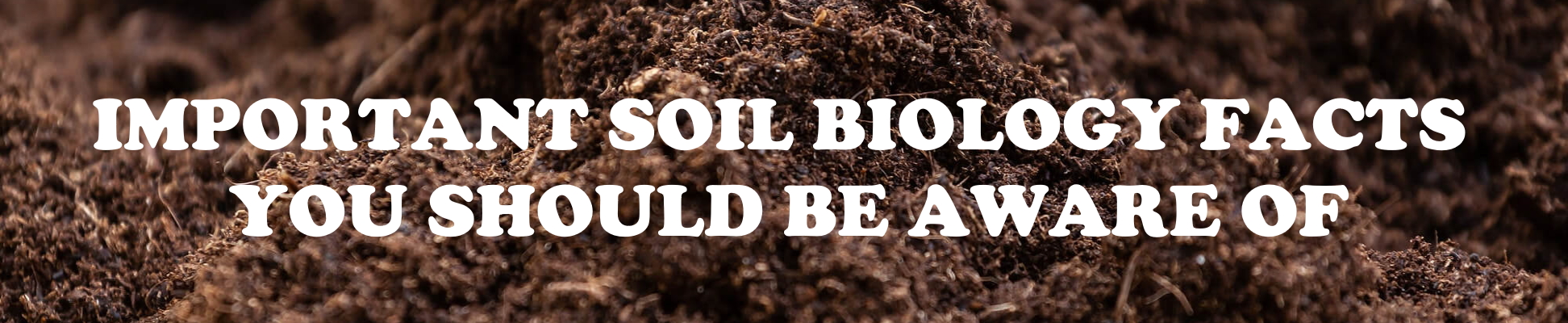 Important soil biology facts you should be aware of.