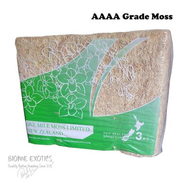 One Mile Moss AAAA Grade 3K– New Zealand Sphagnum Cristatum Moss