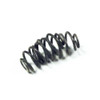 Valve Spring