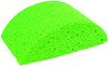 Turtleback Sponge
