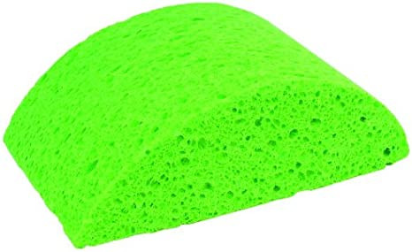 Turtleback Sponge