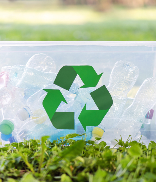 Transparent box on a green lawn filled with recyclable bottles