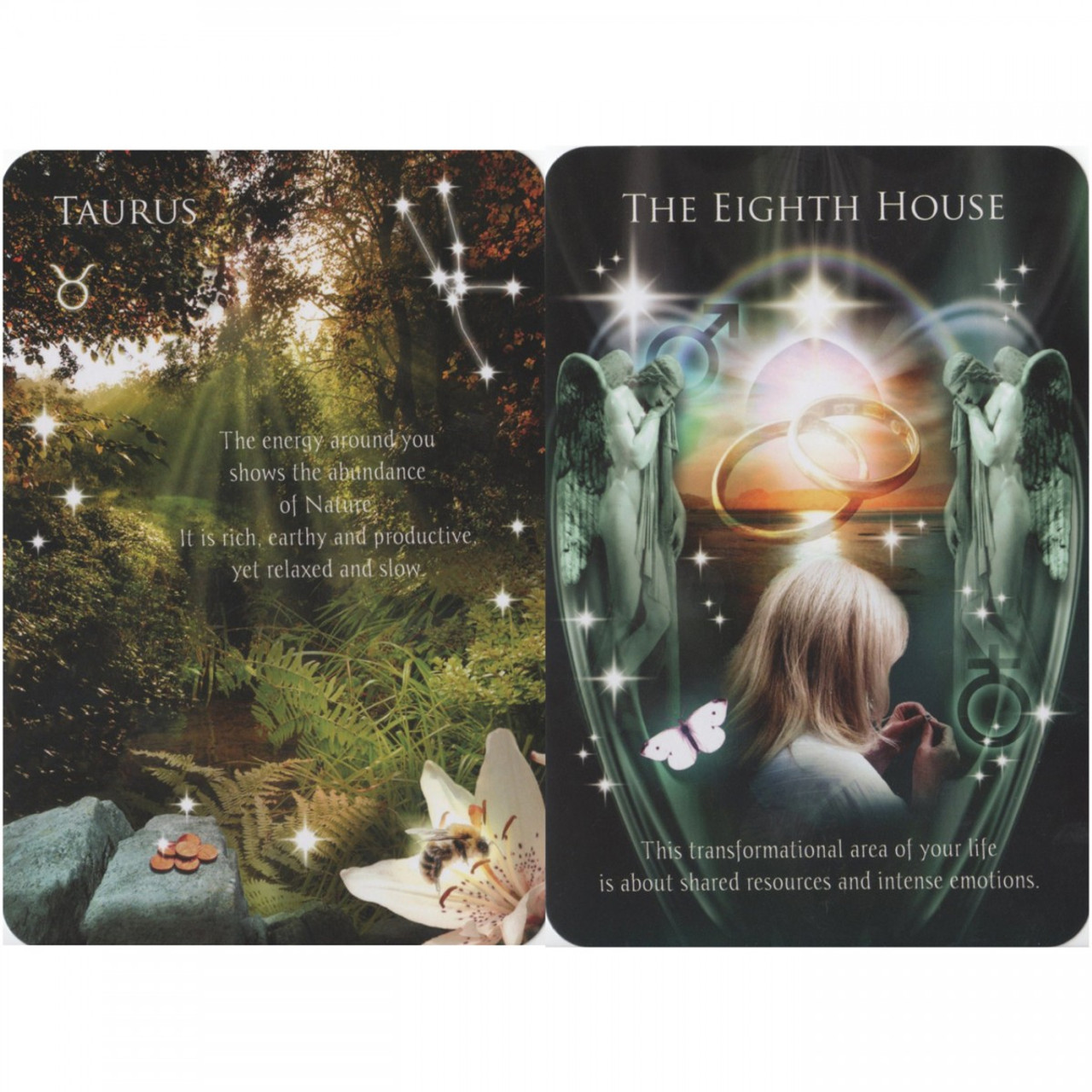 astrology reading card