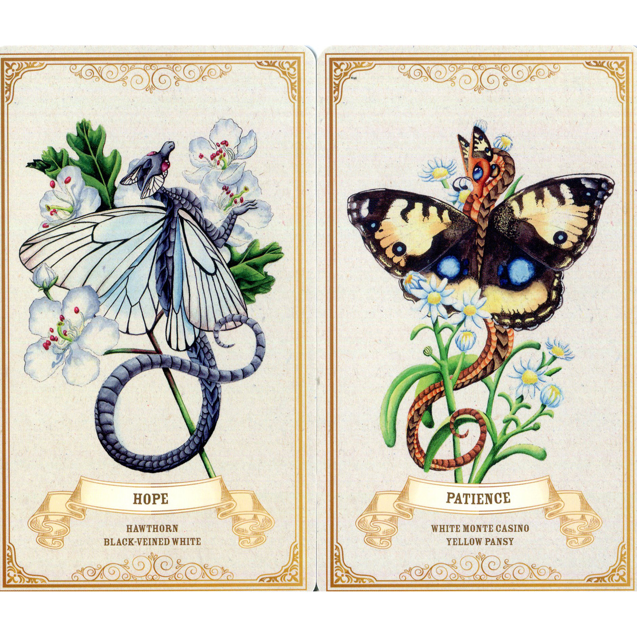 Enchanted Blossoms Oracle Cards by Carla Morrow