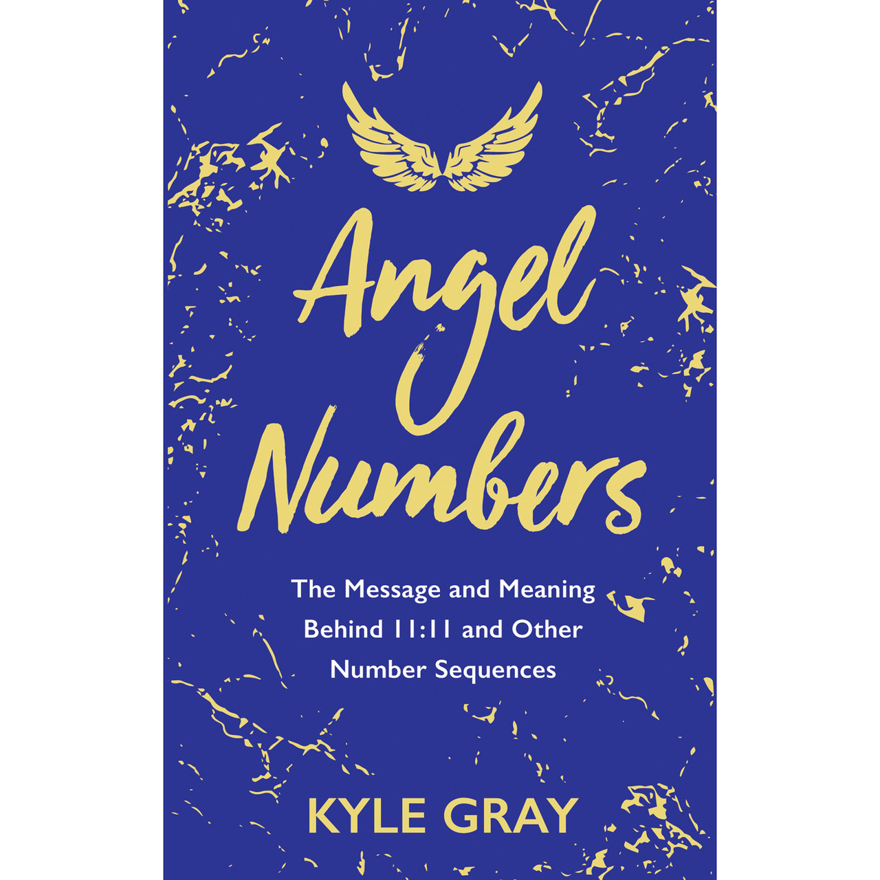 Angel Numbers Book by Kyle Gray