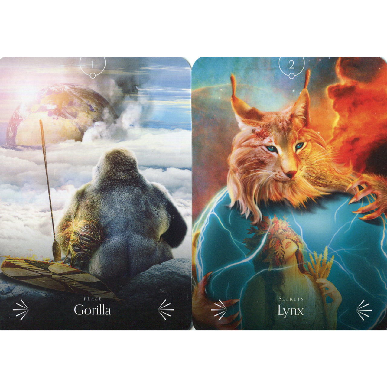 Divine Animals Oracle by Stacey Demarco