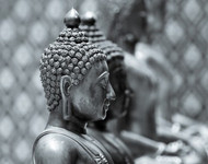 Beginners guide to Buddhism - What is Buddhism?