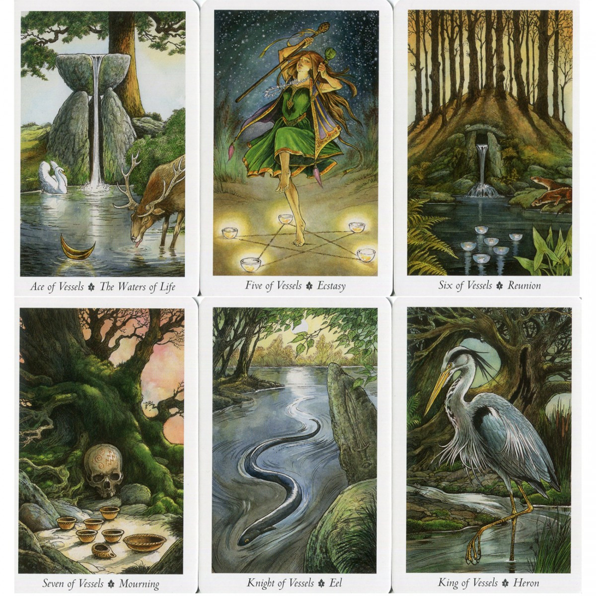 The Wildwood Tarot Set by Mark Ryan & John Matthews
