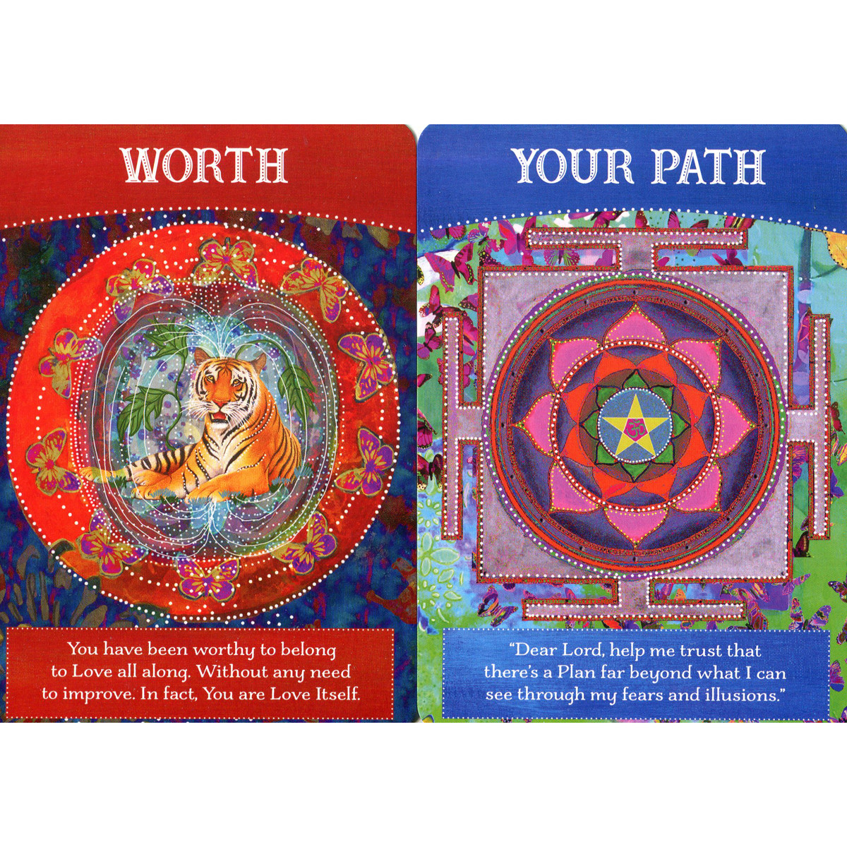 Divine Abundance Oracle Cards by Tosha Silver | Holisticshop