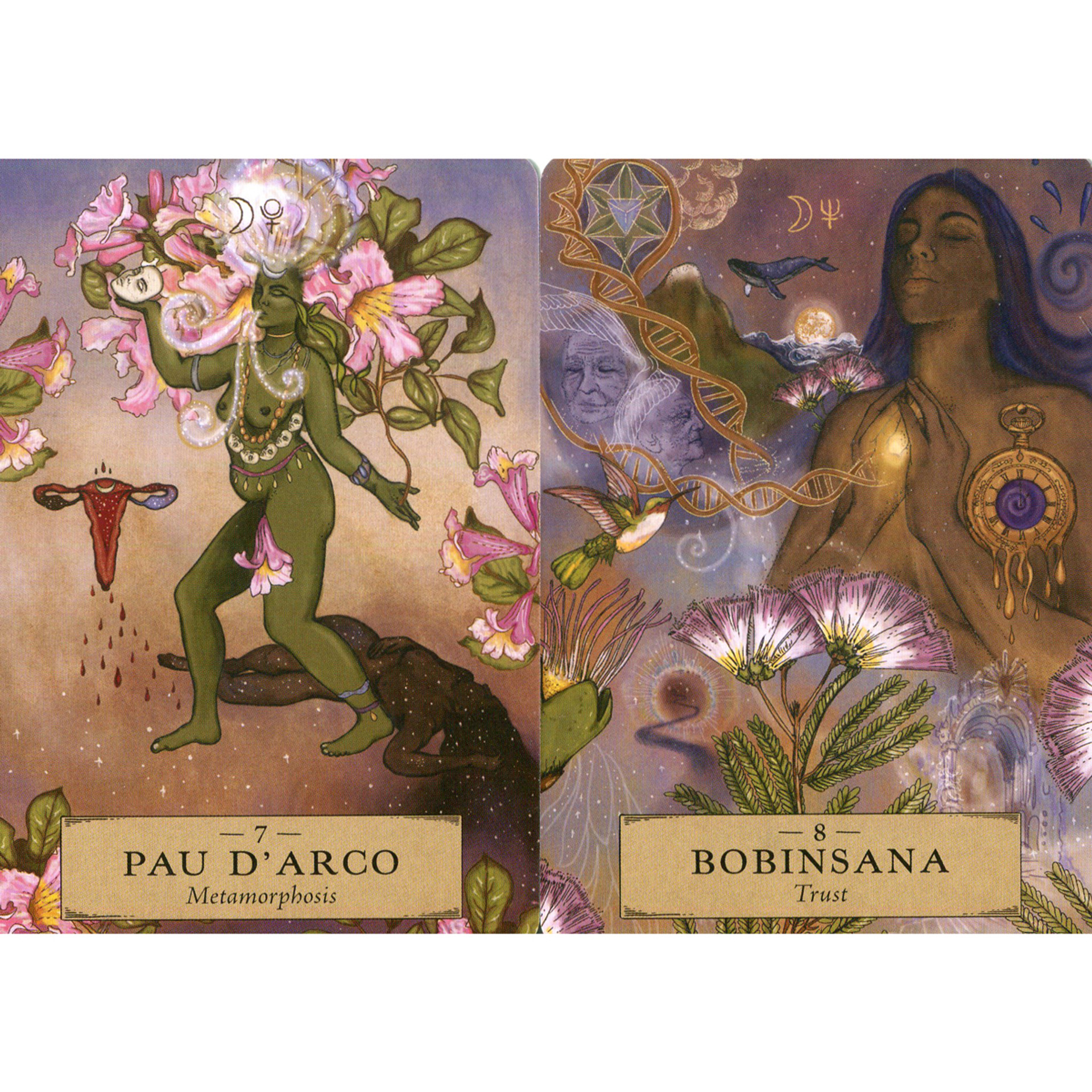 herbal astrology oracle cards