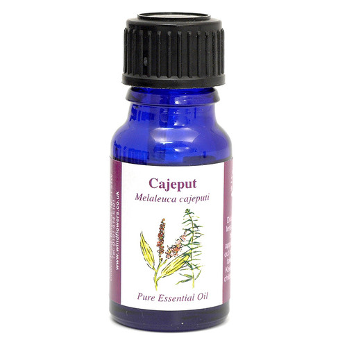 Cajeput Essential Oil (Vietnam) - 10 ml (100% Pure Concentrated)