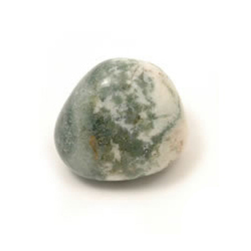 Tree Agate Tumblestone (from India)