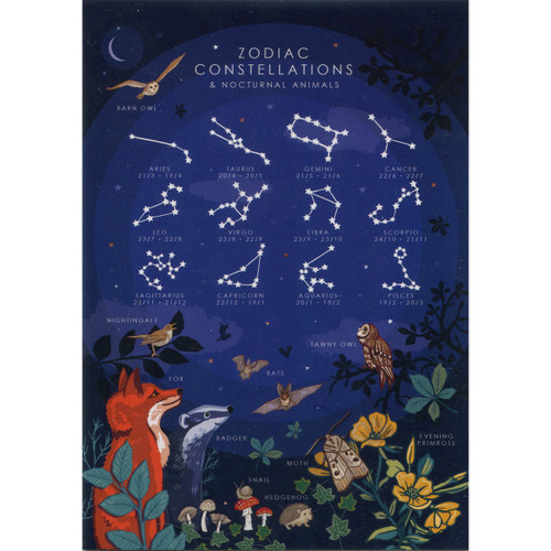 Zodiac Constellations Greeting Card (Blank)
