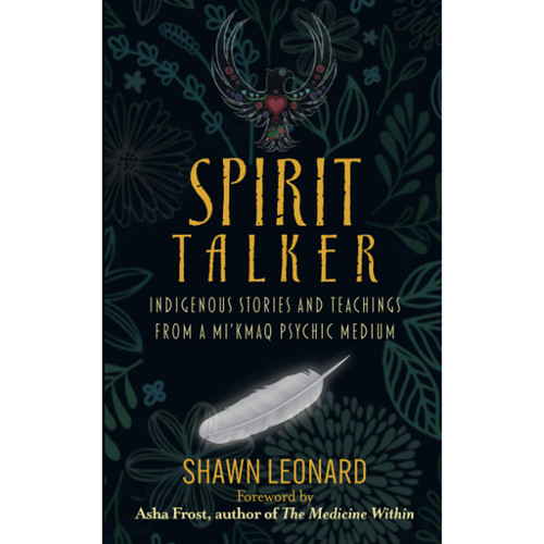 Spirit Talker by Shawn Leonard