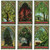 The Spirit of Nature Oracle (Cards & Book Set) by John Matthews