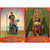 Angel Wisdom Tarot Cards by Radleigh Valentine