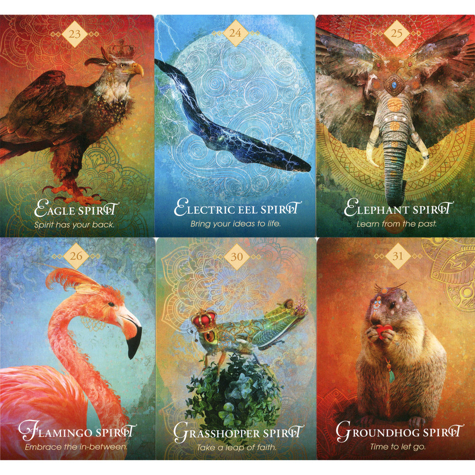 The Spirit Animal Oracle | Colette Baron-Reid | Holisticshop