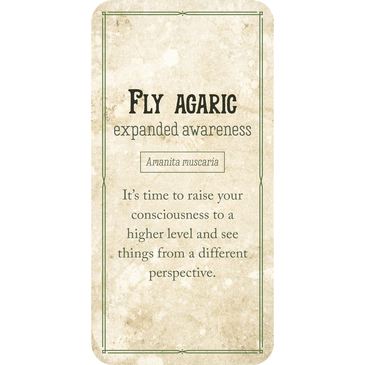 Mushroom Affirmations Mini Cards by Nicola McIntosh