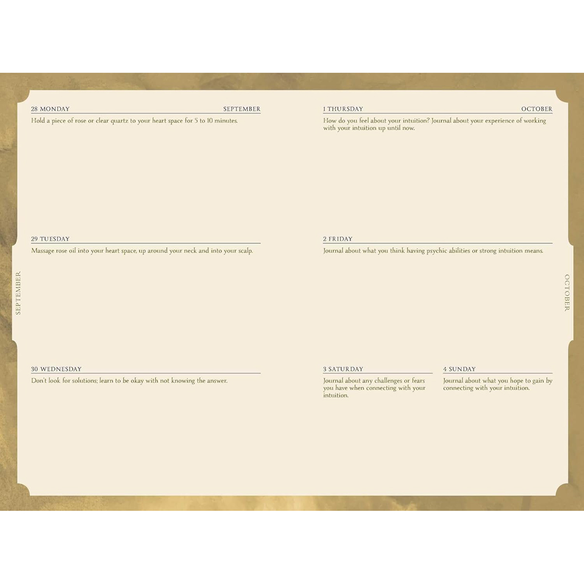 2026 Seasons of the Witch Planner by Lorriane Anderson