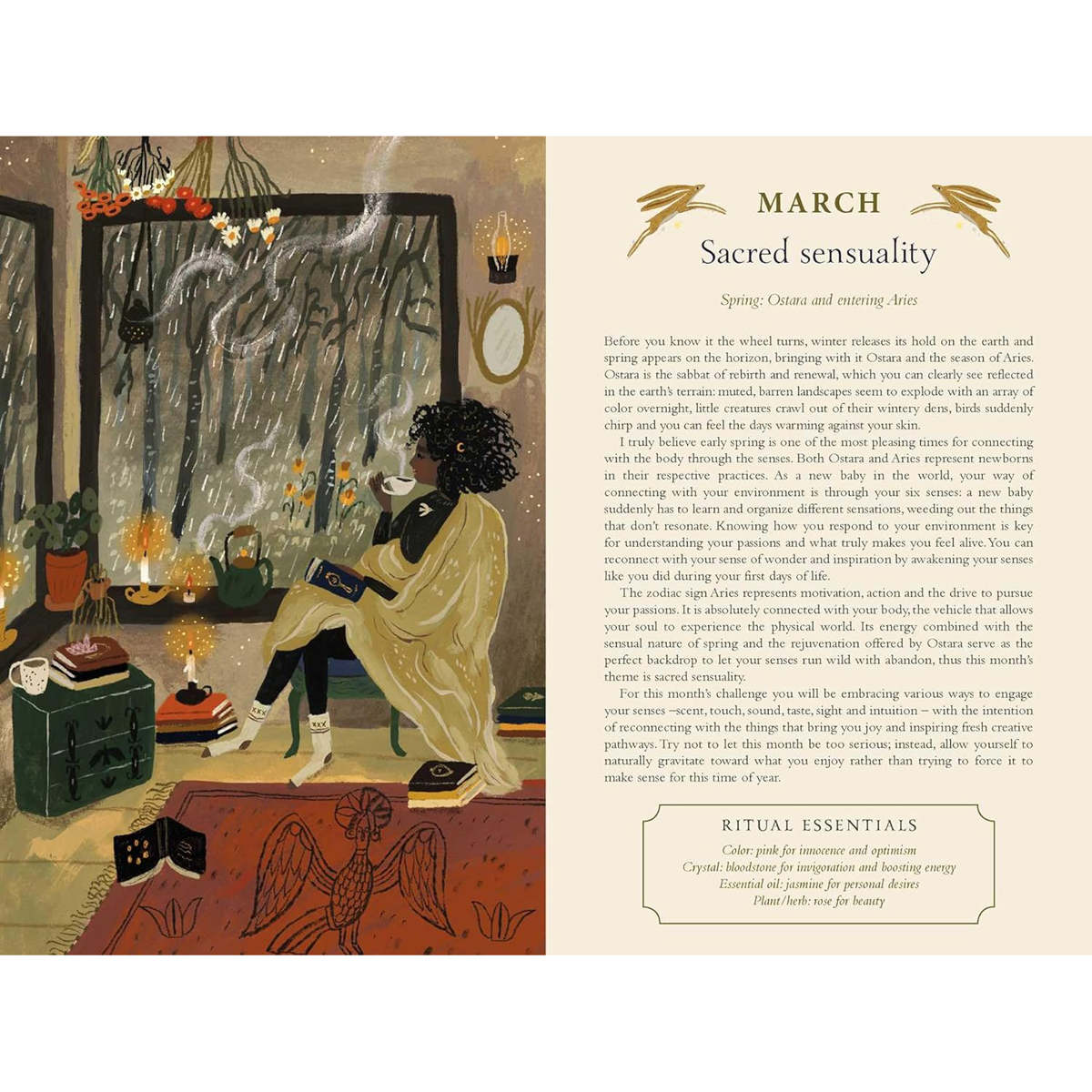 2026 Seasons of the Witch Planner by Lorriane Anderson