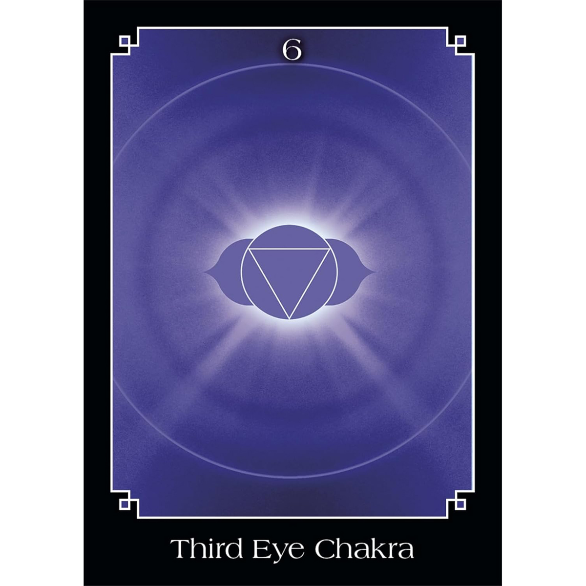 The Psychic Tarot Oracle (Pocket Size) by John Holland