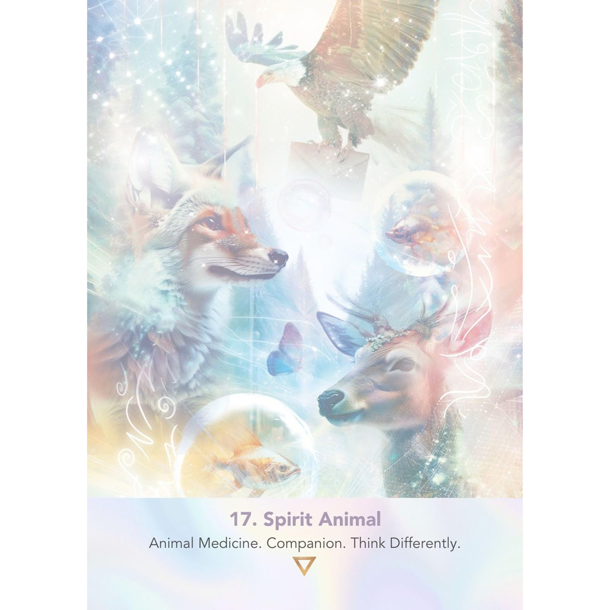 Lightweb Oracle Deck by Joanna Hunter